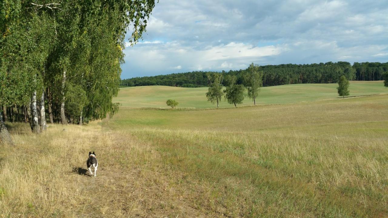Haus An Der Pferdekoppel Am Blankenburger See Blankenburg  Exteriér fotografie
